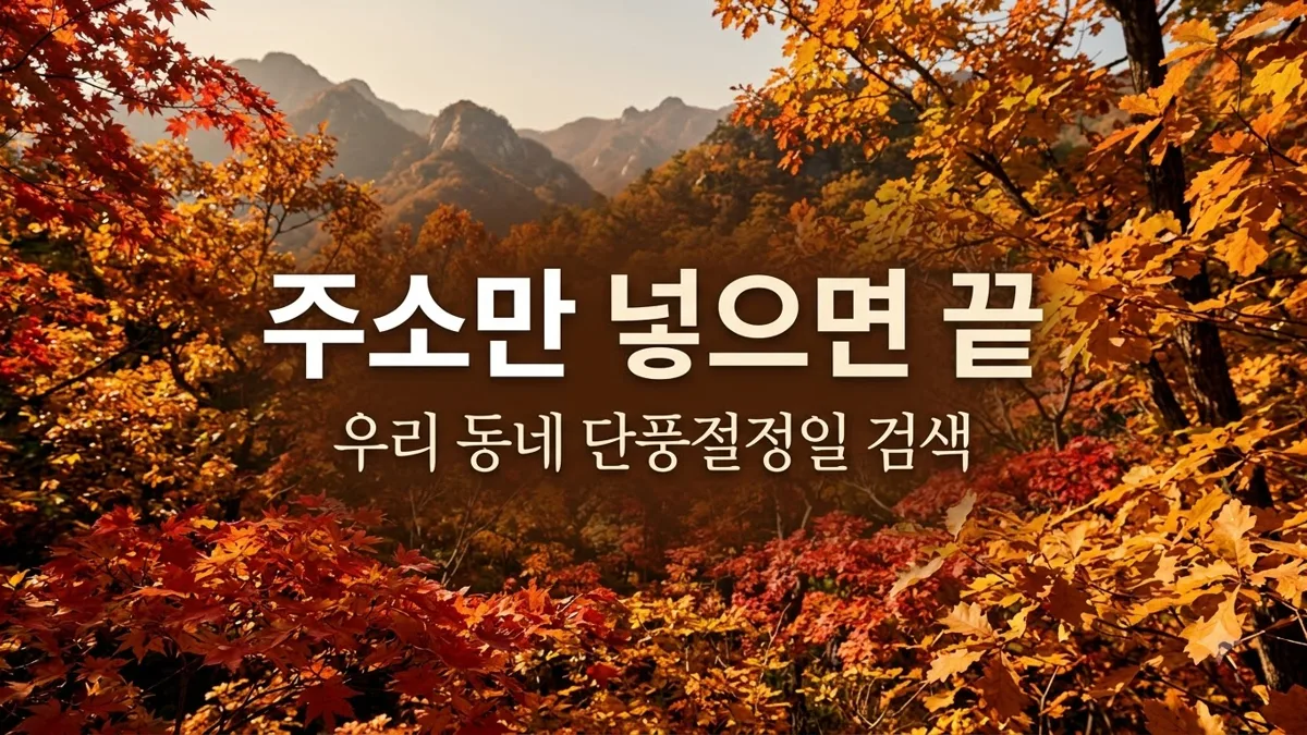 주소 검색으로 보는 단풍절정일