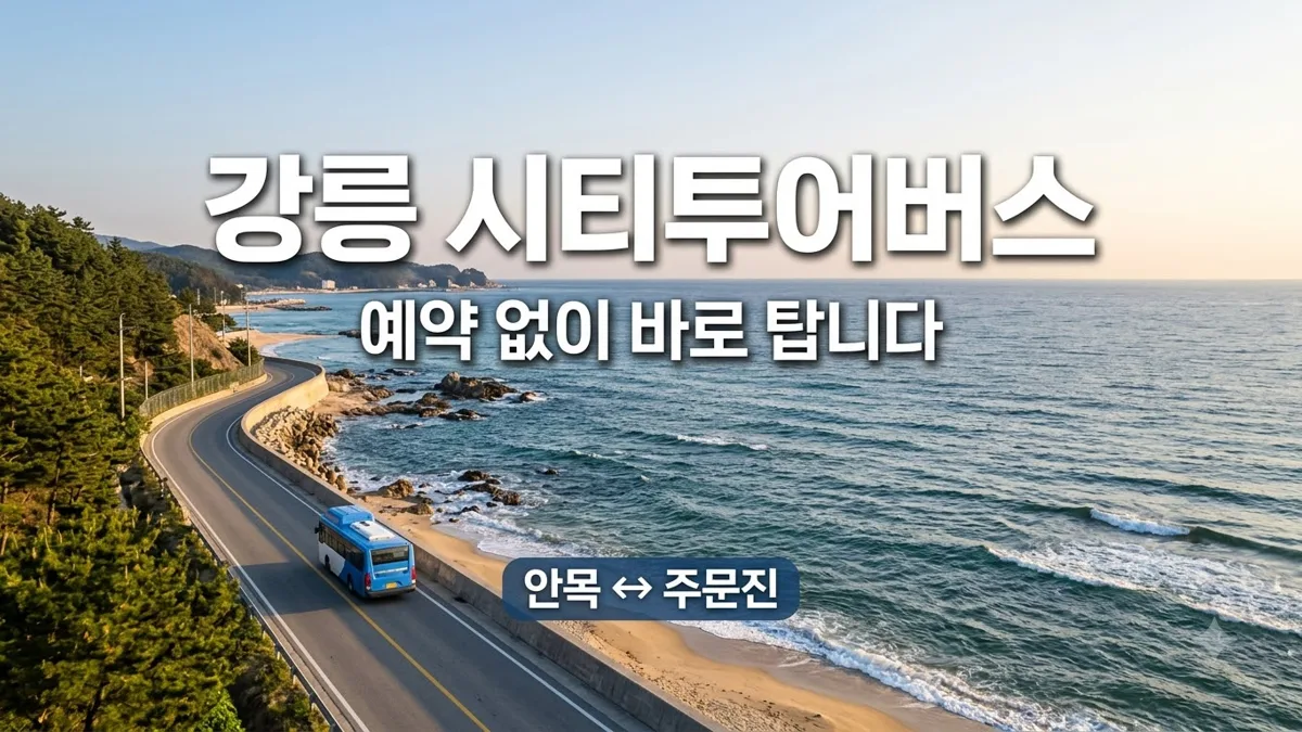 강릉 시티투어버스 노선과 이용 방법 안내